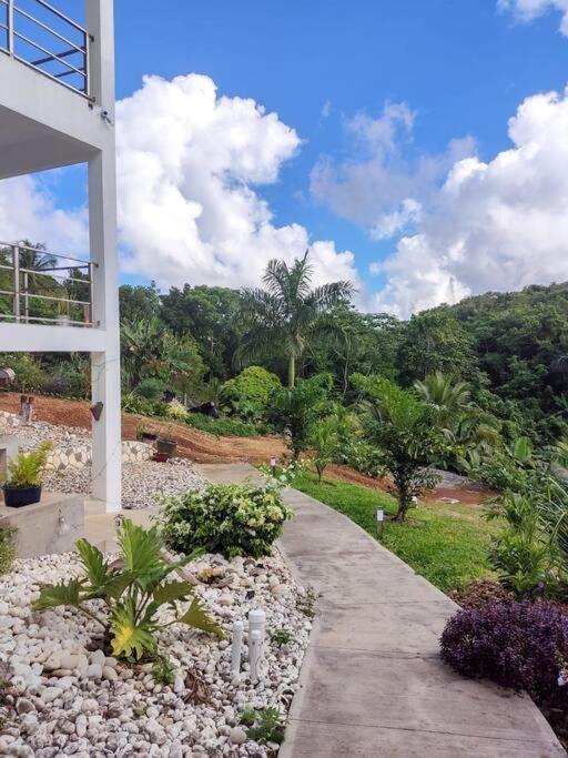 The Willow Apartment Ocho Rios Luaran gambar