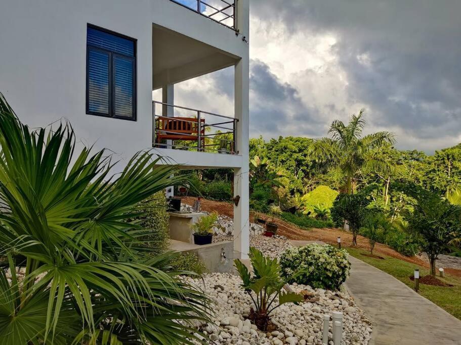 The Willow Apartment Ocho Rios Luaran gambar