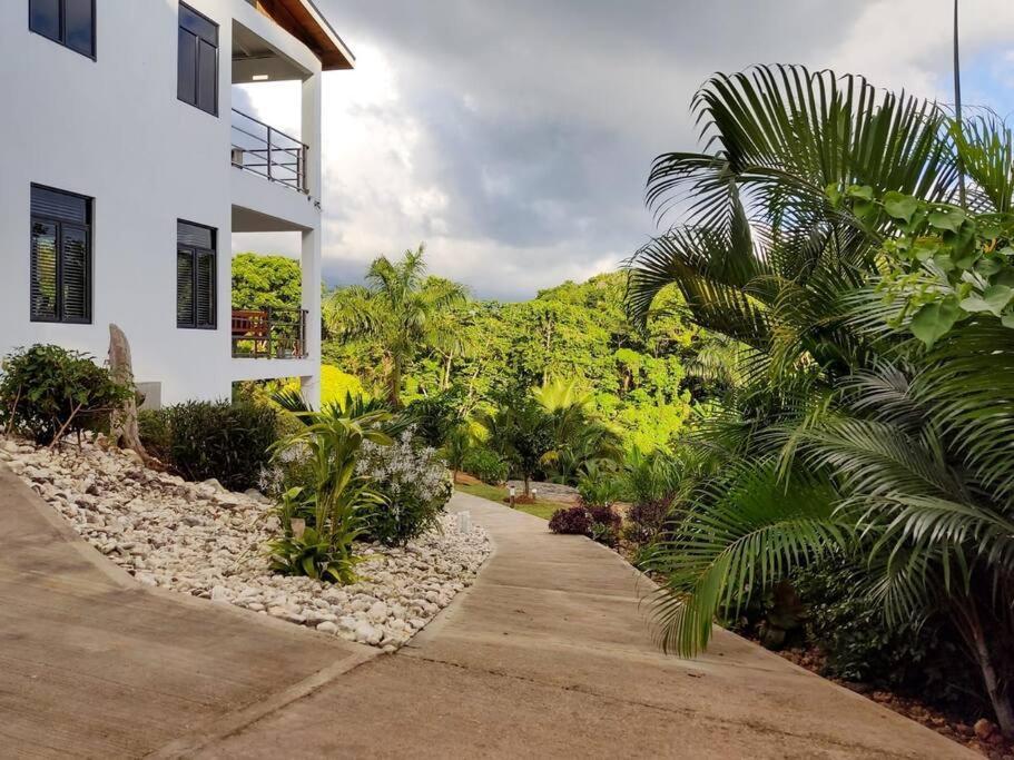 The Willow Apartment Ocho Rios Luaran gambar