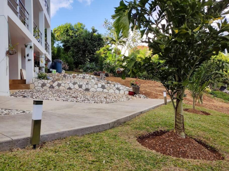 The Willow Apartment Ocho Rios Luaran gambar