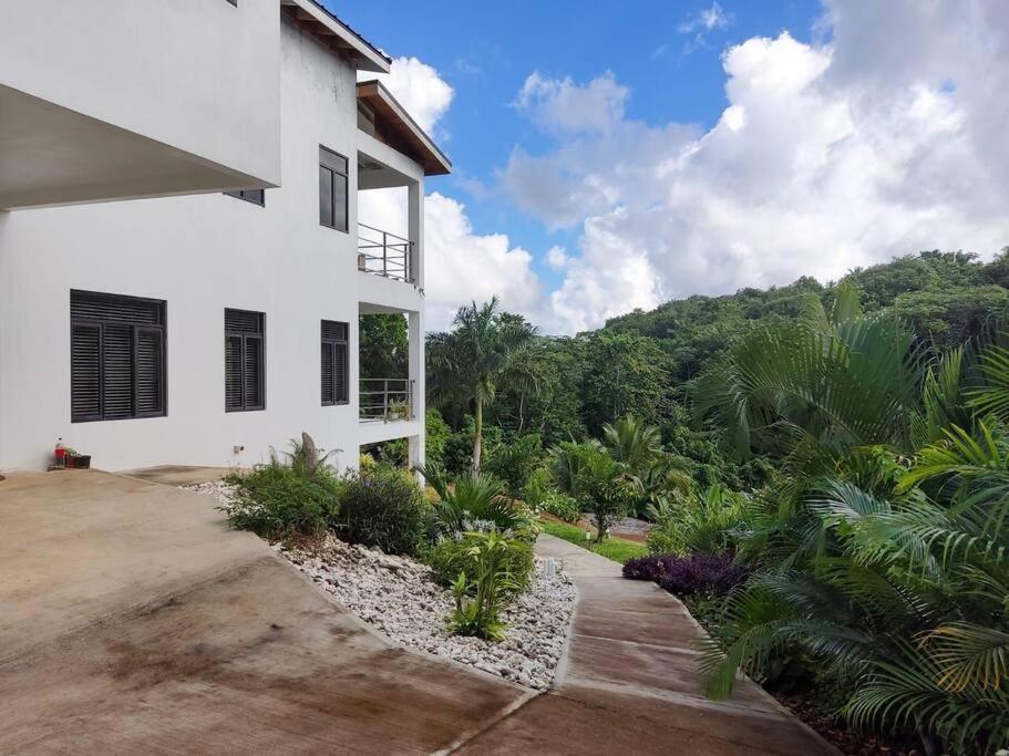 The Willow Apartment Ocho Rios Luaran gambar