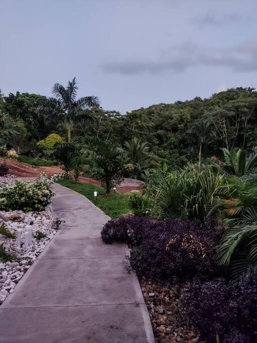 The Willow Apartment Ocho Rios Luaran gambar
