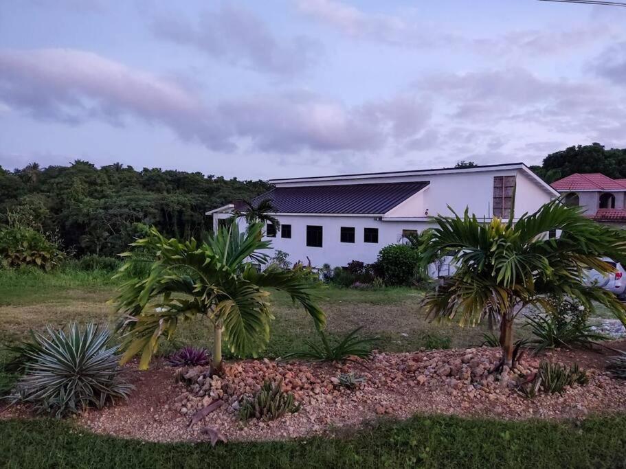 The Willow Apartment Ocho Rios Luaran gambar