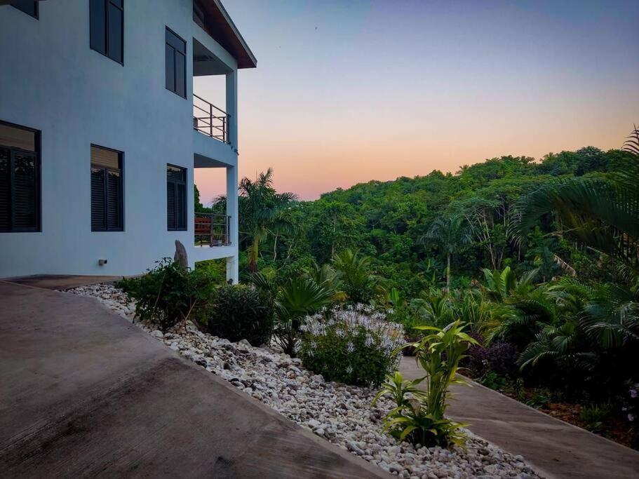 The Willow Apartment Ocho Rios Luaran gambar